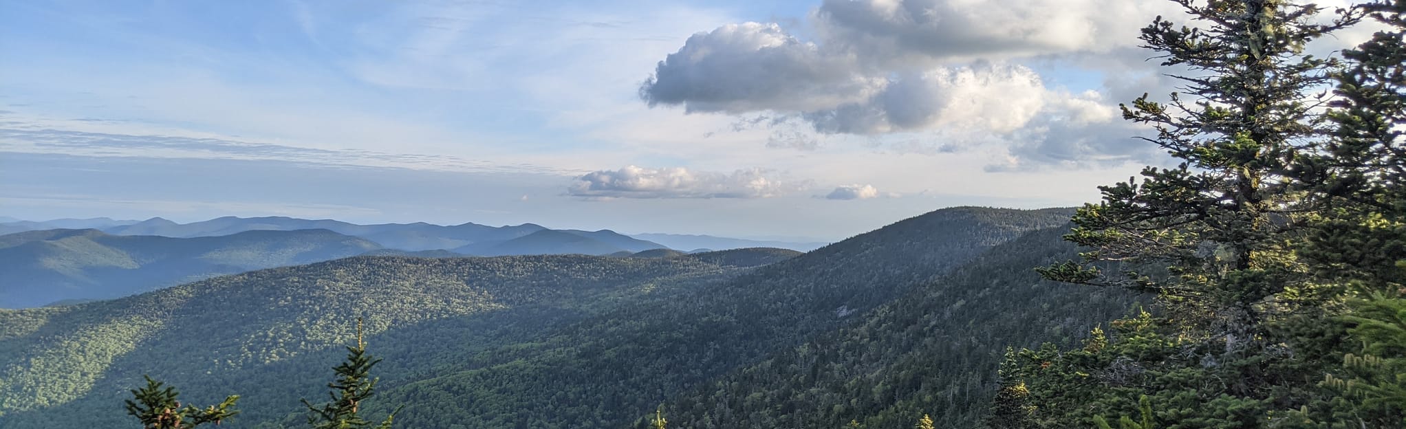 Breadloaf Mountain and Mount Wilson via Emily Proctor Trail 18 Reviews