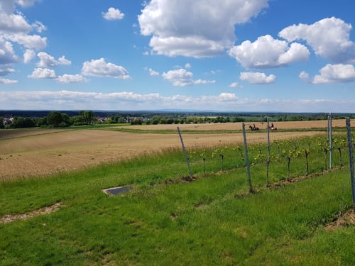 Rundstrecke Groß-Umstadt (GU 1)