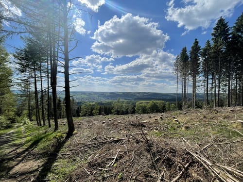 Ferndorf (Kreuztal) - Zitzenbach - Kindelsberg