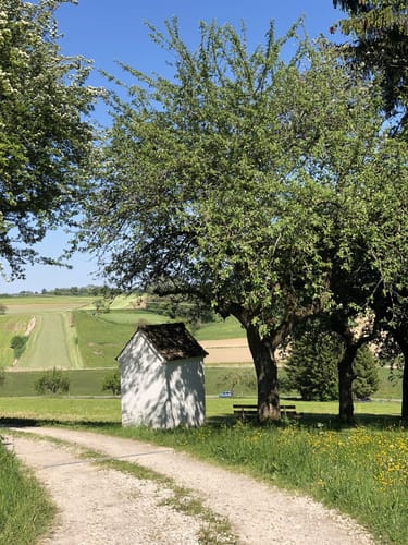 Donau-Radweg (D-Route 6) Alternativetappe 4: Ulm - Donauwörth