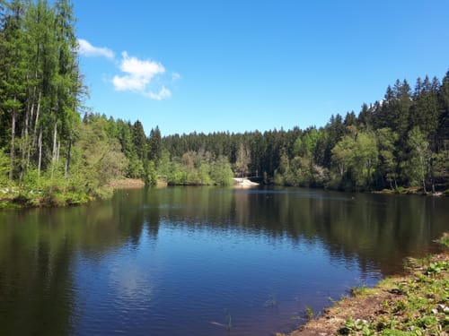 Grünheide - Beerheide - Röthelstein