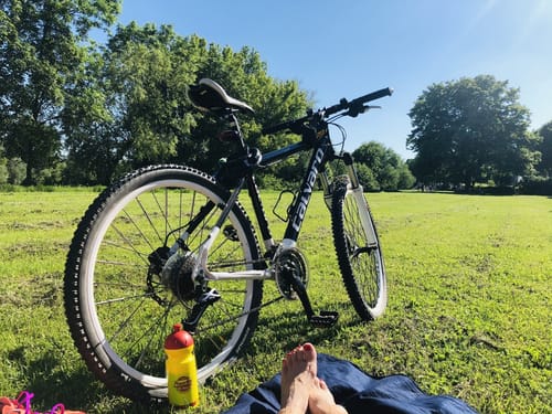 Mainradweg Etappe 8: Aschaffenburg - Mainz