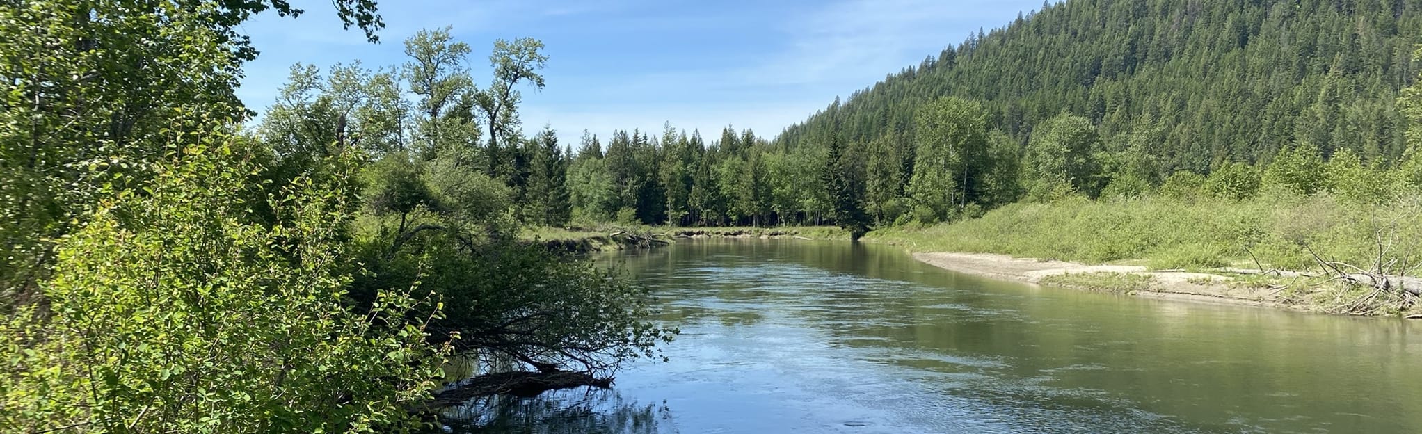 Rapid Lightning Creek Trail, Idaho 96 Reviews, Map AllTrails