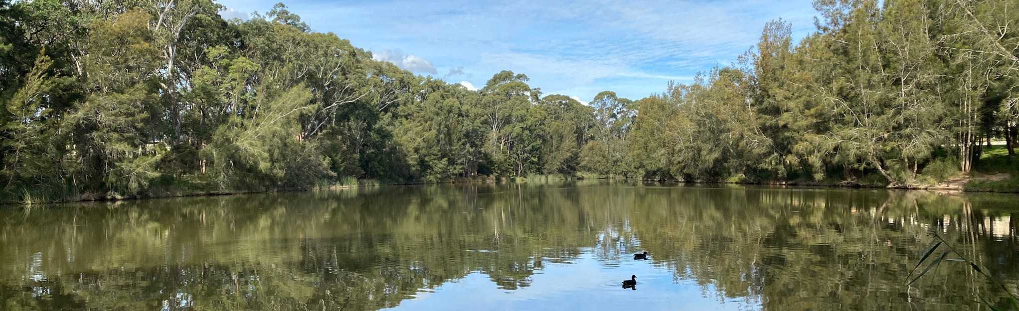 Caddies Creek Walk 61 Reviews, Map New South Wales, Australia