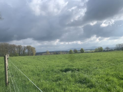 Rheinische Apfelroute - Schleife Wachtberg