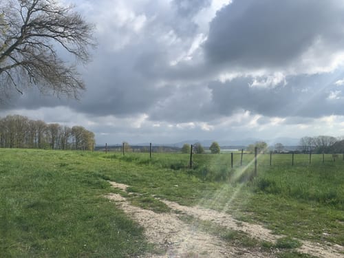 Heiderhof – Wachtberg Schleife