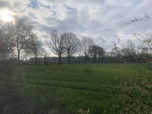 Heiderhof – Wachtberg Schleife