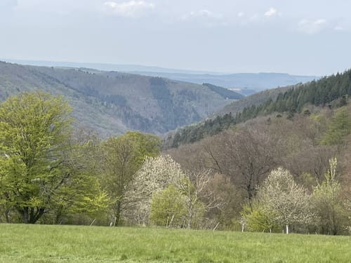 Dhrontal-Wackentour (Traumschleife)