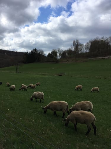 Steinbach Rundweg Masburg