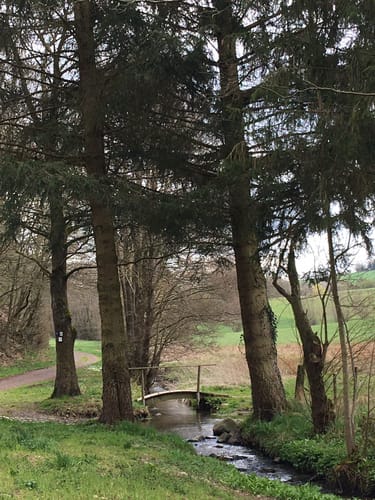 Steinbach Rundweg Masburg