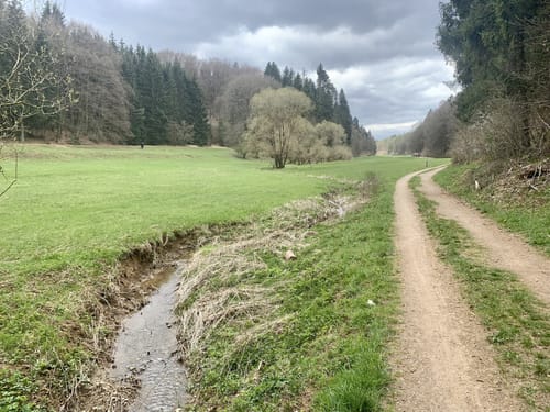 Wo Bäche schwinden (EifelSchleife)