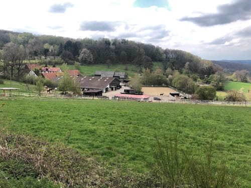 Bad Orb Rundwanderweg 17: Kapellenrunde