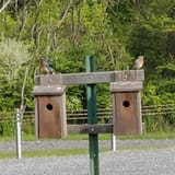 blue marsh bike trail