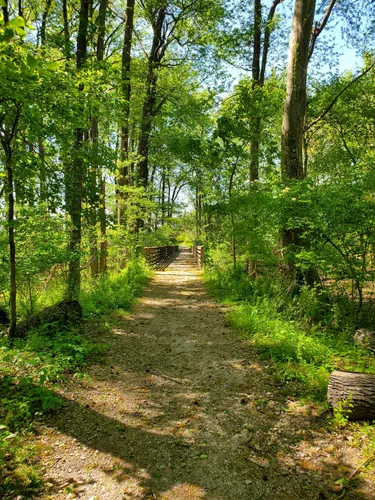 Best Easy Trails in North Point State Park AllTrails