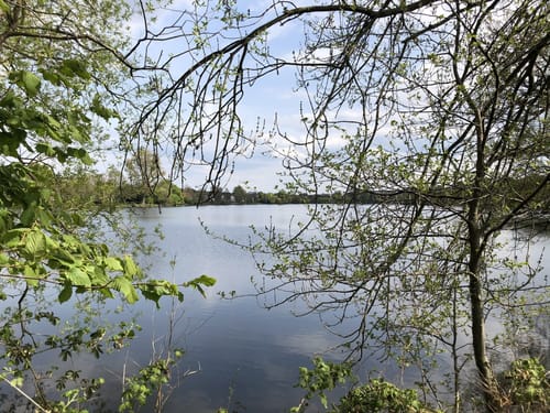 Um Nettebruch und Breyeller See