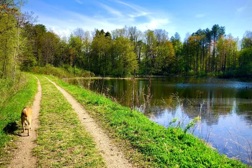 Best lake trails in Laingsburg | AllTrails