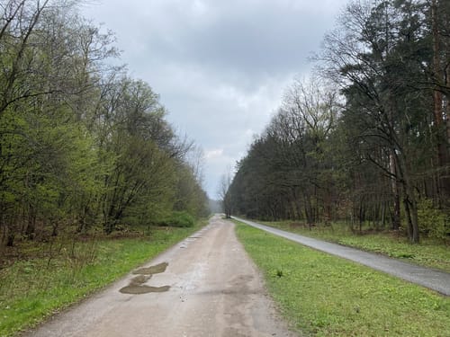 Durch den ehemaligen Militärflugplatz Schöneweide