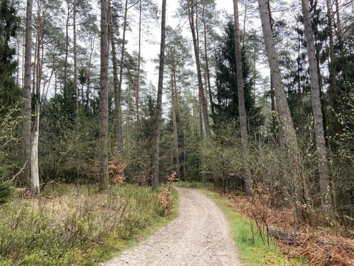 Neugraben-Fischbeck - Staatsforst Rosengarten