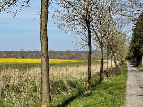 Leerbach-Quelle und Schwarthoffs-Quelle ab Leer