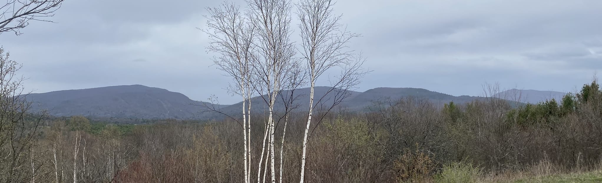 Lyme Pinnacle via Highbridge Rd, New Hampshire 24 Reviews, Map