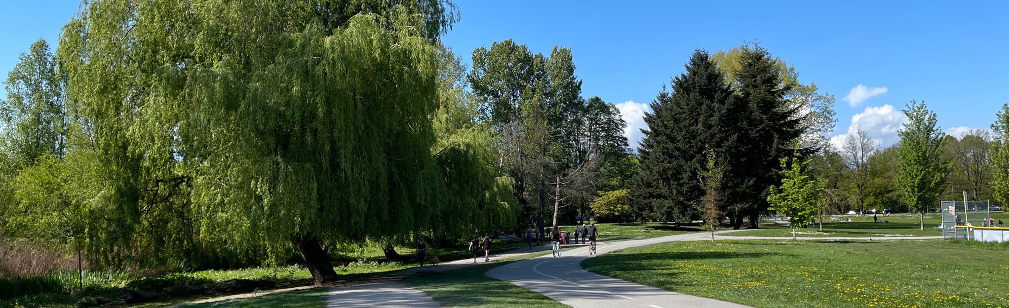 Trout Lake Loop 248 Reviews, Map British Columbia, Canada AllTrails