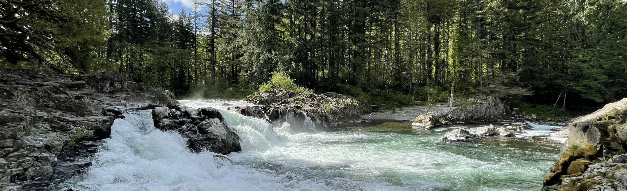 Lucia Falls Loop: 118 Reviews, Map - Washington | AllTrails