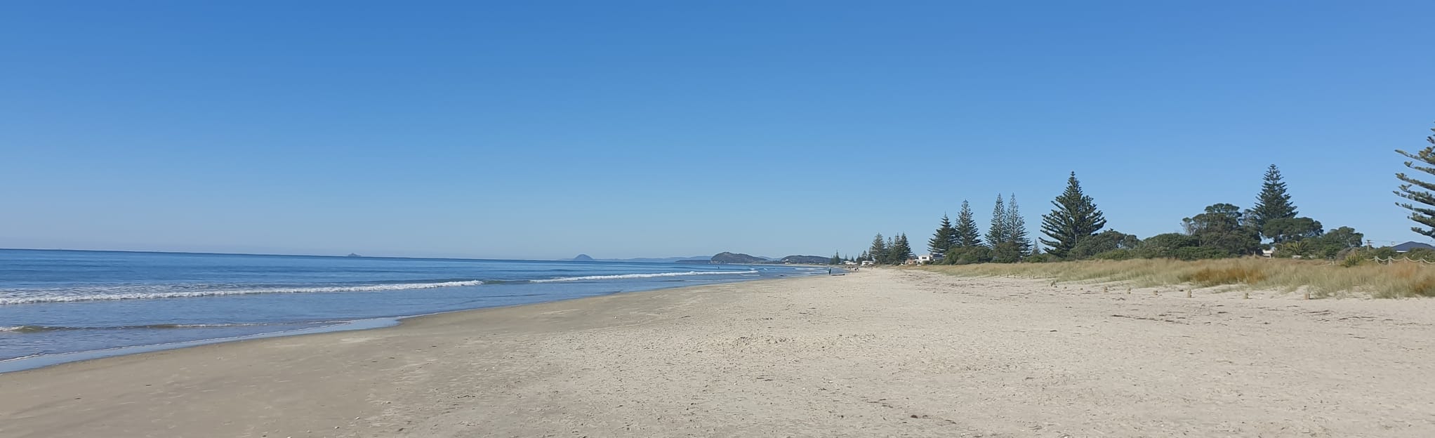 Waihi Beach Walk 10 Fotos Bay of Plenty, Neuseeland AllTrails