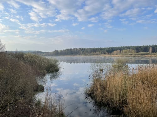 Rußweiher Rundweg