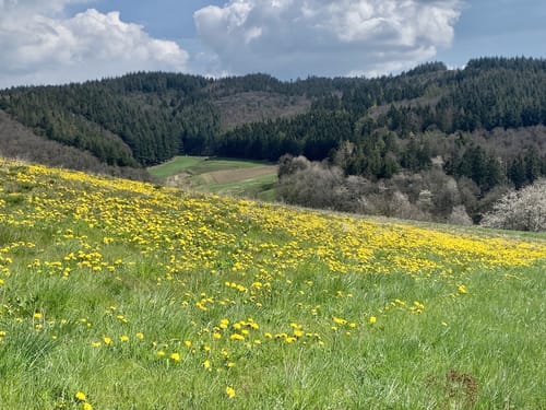 Sonnenrundweg