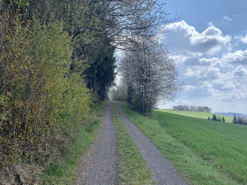 Sonnenrundweg