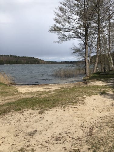 Um den Springsee