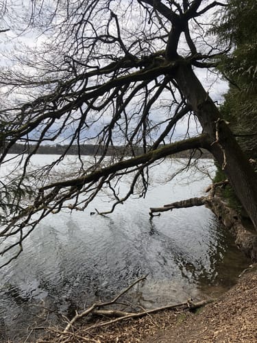 Um den Springsee