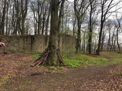 Burgruine Landeck ab Oberlengsfeld