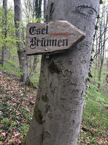 Burgruine Landeck ab Oberlengsfeld