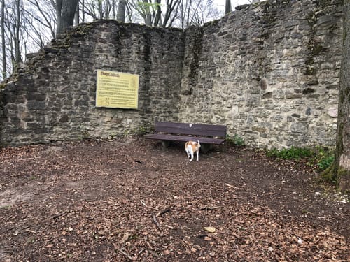 Burgruine Landeck ab Oberlengsfeld