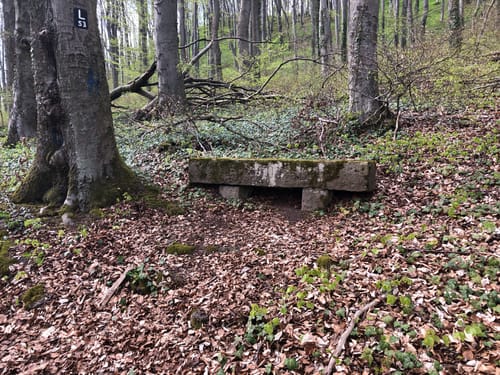 Burgruine Landeck ab Oberlengsfeld
