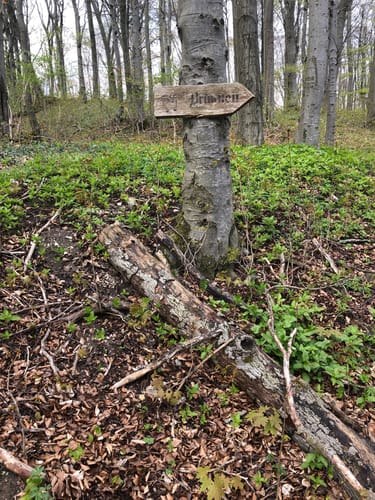 Burgruine Landeck ab Oberlengsfeld