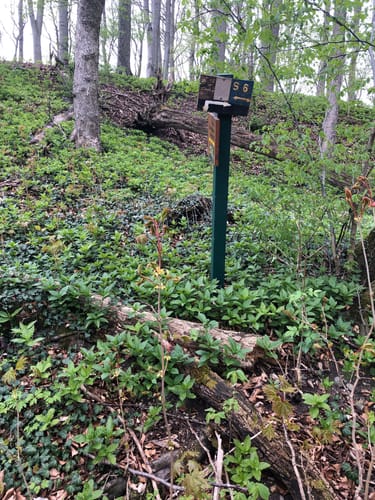 Burgruine Landeck ab Oberlengsfeld