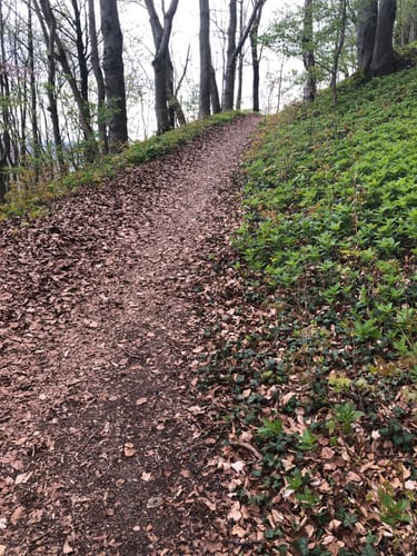 Burgruine Landeck ab Oberlengsfeld