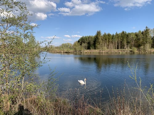 Wertach Rundweg