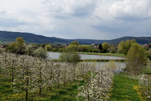 Lauferlebnis Fränkische Schweiz W3