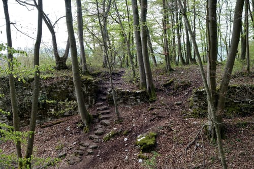 Rundweg Wannbach - Poppendorf