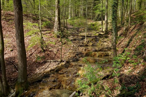 Rundweg Wannbach - Poppendorf