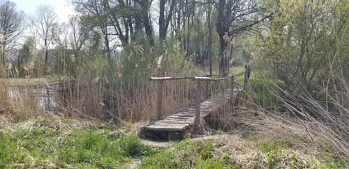 Palzing - Amper Runde