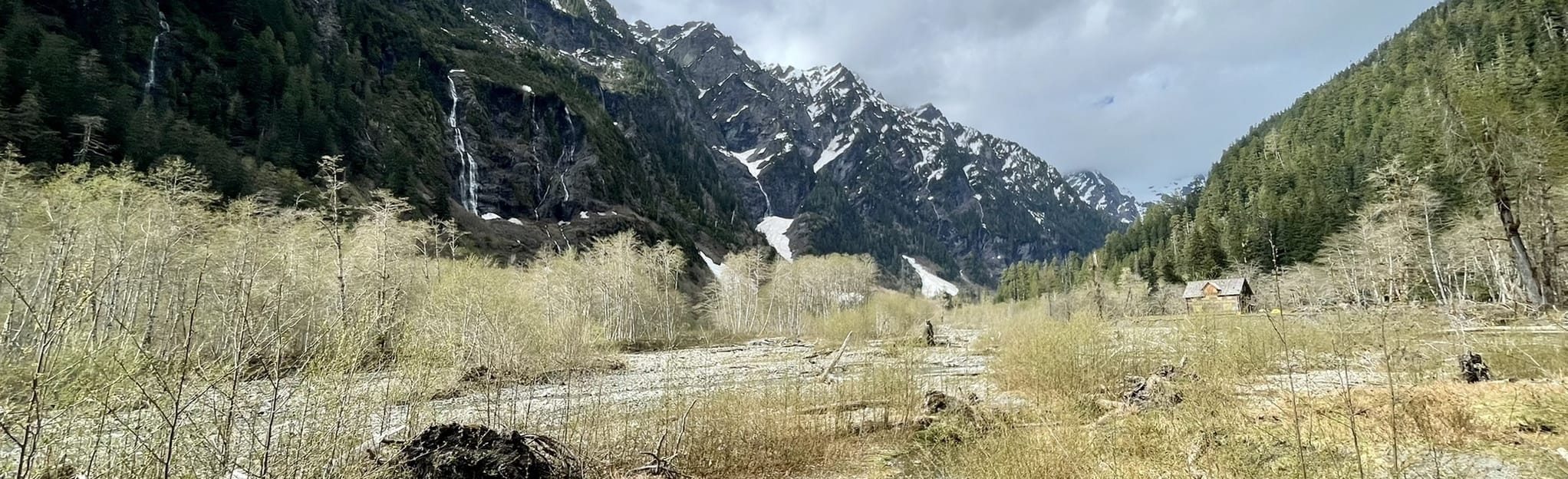 Graves Creek via Dosewallips River and East Fork Quinalt River Trail