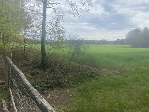 Über den Hohenecker Berg
