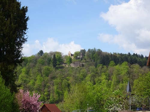 Neckargerach Rundweg (NG3)