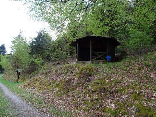 Neckargerach Rundweg (NG3)