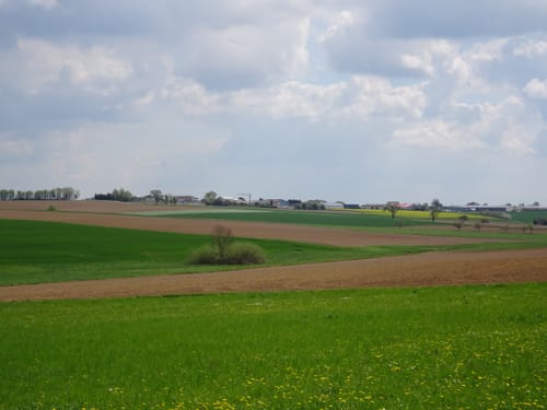 Neckargerach Rundweg (NG3)