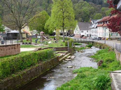 Neckargerach Rundweg (NG3)